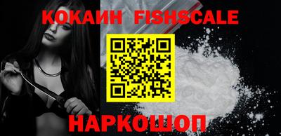бошки Кингисепп