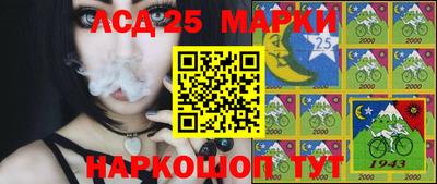 бошки Кингисепп