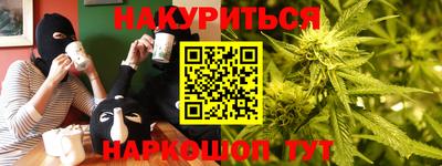бошки Кингисепп