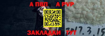 бошки Кингисепп