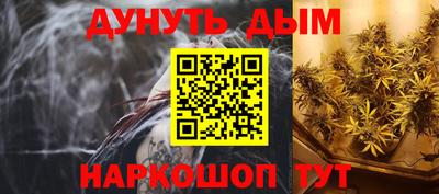 бошки Кингисепп