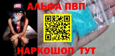 бошки Кингисепп